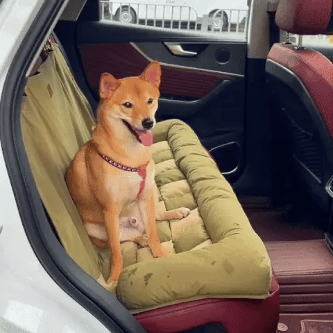 Chic Car Seat for Big Dogs
