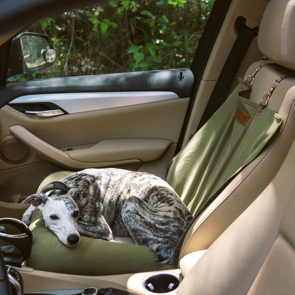 Chic Car Seat for Big Dogs